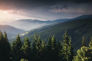 Uzak tepelerin manzarası çok etkileyici. Karpatlar 'ın yeri, Ukrayna, Avrupa. Vahşi bölgenin resmi. Yürüyüş konseptinin manzaralı görüntüsü. Huysuz hava. Toprağın güzelliğini keşfedin. Çevreyi keşfedin..