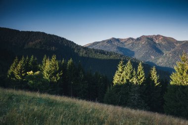 Uzak tepelerin manzarası inanılmaz. Karpatlar 'ın yeri, Ukrayna, Avrupa. Vahşi bölgenin resmi. Yürüyüş konseptinin manzaralı görüntüsü. Huysuz hava. Toprağın güzelliğini keşfedin. Çevreyi keşfedin..