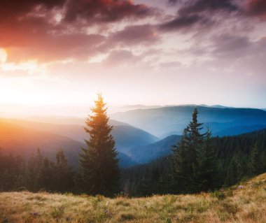 Uzak tepelerin manzarası çok etkileyici. Karpatlar 'ın yeri, Ukrayna, Avrupa. Vahşi bölgenin resmi. Yürüyüş konseptinin manzaralı görüntüsü. Huysuz hava. Toprağın güzelliğini keşfedin. Çevreyi keşfedin..