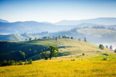 Sabahın köründe çiftliğin yakınındaki manzara. Resimli bir gün ve muhteşem bir sahne. Yeri Karpatyalı, Ukrayna Avrupa. Duvar kağıdının harika bir görüntüsü. Dünyanın güzelliğini keşfedin.