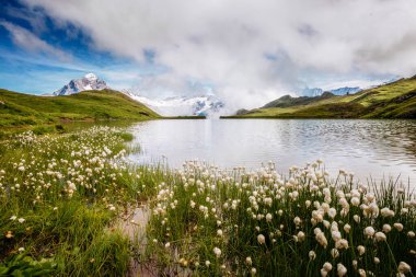 Kayalık kar yığınının büyüleyici manzarası. Resimli bir gün. İsviçre Alpleri 'nde Bachalpsee, Grindelwald, Bernese Oberland, Avrupa. Duvar kağıdının harika bir görüntüsü. Dünyanın güzelliğini keşfedin.