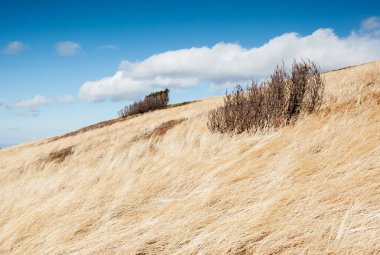 Alp Vadisi 'nin büyüleyici manzarasına bakın. Resimli bir gün. Karpatya Ukrayna, Avrupa 'da bir yer. Duvar kağıdının harika bir görüntüsü. Soyut mevsimsel arka plan. Dünyanın güzelliğini keşfedin.