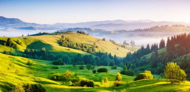 Sabahın köründe bir çiftliğin etrafında parlak bir kırsal alan. Resimli bir gün ve muhteşem bir sahne. Mekan Karpatlar, Ukrayna, Avrupa. Konsept ekoloji koruması. Dünyanın güzelliğini keşfedin.