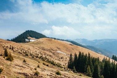 Parlak tepeler ve Alp Vadisi manzarası. Karpatya Ukrayna, Avrupa 'da bir yer. Harika bir bahar duvar kâğıdı. Açık hava aktivitesi. Dünyanın güzelliğini ve vahşi yaşamını keşfedin..