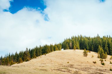 Sisli tepeler ve Alp Vadisi 'nin kasvetli manzarası. Karpatya Ukrayna, Avrupa 'da bir yer. Harika bir bahar duvar kâğıdı. Açık hava aktivitesi. Dünyanın güzelliğini ve vahşi yaşamını keşfedin..