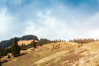 Parlak tepeler ve Alp Vadisi manzarası. Karpatya Ukrayna, Avrupa 'da bir yer. Harika bir bahar duvar kâğıdı. Açık hava aktivitesi. Dünyanın güzelliğini ve vahşi yaşamını keşfedin..