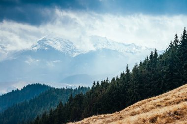Sisli tepeler ve Alp Vadisi 'nin kasvetli manzarası. Karpatya Ukrayna, Avrupa 'da bir yer. Harika bir bahar duvar kâğıdı. Açık hava aktivitesi. Dünyanın güzelliğini ve vahşi yaşamını keşfedin..