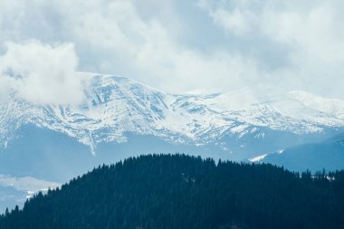 Sisli tepeler ve Alp Vadisi 'nin kasvetli manzarası. Karpatya Ukrayna, Avrupa 'da bir yer. Harika bir bahar duvar kâğıdı. Açık hava aktivitesi. Dünyanın güzelliğini ve vahşi yaşamını keşfedin..