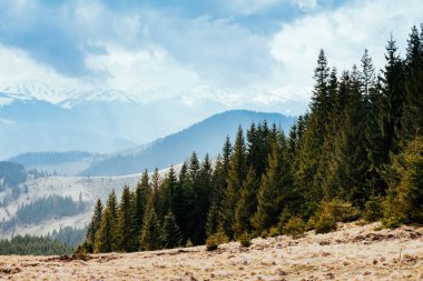 Parlak tepeler ve Alp Vadisi manzarası. Karpatya Ukrayna, Avrupa 'da bir yer. Harika bir bahar duvar kâğıdı. Açık hava aktivitesi. Dünyanın güzelliğini ve vahşi yaşamını keşfedin..