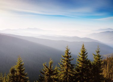 Parlak tepeler ve Alp Vadisi manzarası. Mekan Karpatlar, Ukrayna, Avrupa. Harika bir yaz duvar kâğıdı. Harika bir açık hava tatili. Dünyanın güzelliğini ve vahşi yaşamını keşfedin..