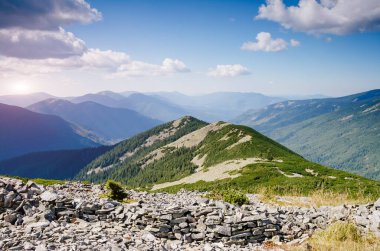Parlak tepeler ve Alp Vadisi manzarası. Mekan Karpatlar, Ukrayna, Avrupa. Harika bir yaz duvar kâğıdı. Açık havada güneşli bir gün. Dünyanın güzelliğini ve vahşi yaşamını keşfedin..