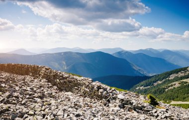 Parlak tepeler ve Alp Vadisi manzarası. Mekan Karpatlar, Ukrayna, Avrupa. Harika bir yaz duvar kâğıdı. Açık havada güneşli bir gün. Dünyanın güzelliğini ve vahşi yaşamını keşfedin..