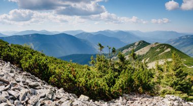 Büyük tepeler ve Alp Vadisi manzarası. Mekan Karpatlar, Ukrayna, Avrupa. Harika bir yaz duvar kâğıdı. Harika bir açık hava tatili. Dünyanın güzelliğini ve vahşi yaşamını keşfedin..