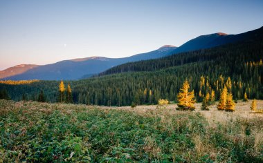 Büyük tepeler ve Alp Vadisi manzarası. Mekan Karpatlar, Ukrayna, Avrupa. Harika bir yaz duvar kâğıdı. Harika bir açık hava tatili. Dünyanın güzelliğini ve vahşi yaşamını keşfedin..