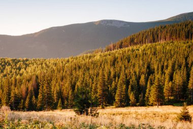 Büyük tepeler ve Alp Vadisi manzarası. Mekan Karpatlar, Ukrayna, Avrupa. Harika bir yaz duvar kâğıdı. Harika bir açık hava tatili. Dünyanın güzelliğini ve vahşi yaşamını keşfedin..