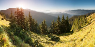 Parlak tepeler ve Alp Vadisi manzarası. Mekan Karpatlar, Ukrayna, Avrupa. Harika bir yaz duvar kâğıdı. Açık havada güneşli bir gün. Dünyanın güzelliğini ve vahşi yaşamını keşfedin..