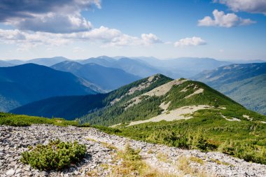 Büyük tepeler ve Alp Vadisi manzarası. Mekan Karpatlar, Ukrayna, Avrupa. Harika bir yaz duvar kâğıdı. Harika bir açık hava tatili. Dünyanın güzelliğini ve vahşi yaşamını keşfedin..