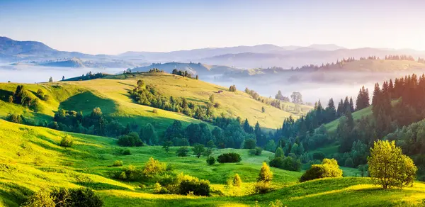 Sabahın köründe bir çiftliğin etrafında parlak bir kırsal alan. Resimli bir gün ve muhteşem bir sahne. Mekan Karpatlar, Ukrayna, Avrupa. Konsept ekoloji koruması. Dünyanın güzelliğini keşfedin.