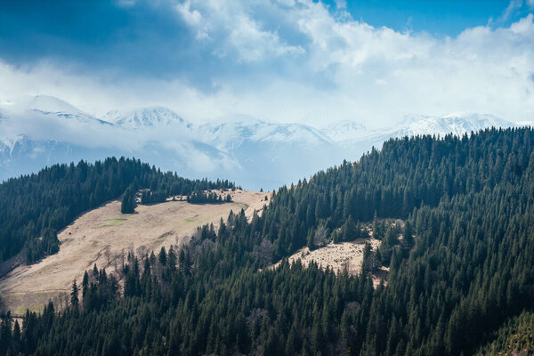 Туманные холмы и мрачное настроение сцены альпийской долины. Место нахождения Карпатская Украина, Европа. Прекрасные весенние обои. Наружная активность. Исследуйте красоту мира и дикую природу.