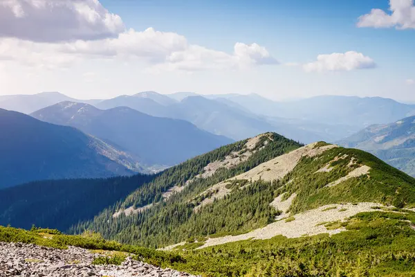Parlak tepeler ve Alp Vadisi manzarası. Mekan Karpatlar, Ukrayna, Avrupa. Harika bir yaz duvar kâğıdı. Açık havada güneşli bir gün. Dünyanın güzelliğini ve vahşi yaşamını keşfedin..