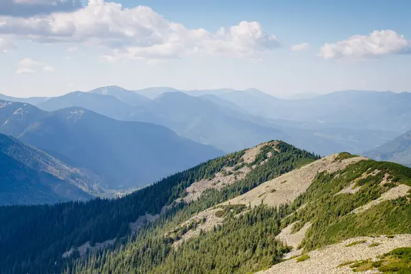 Büyük tepeler ve Alp Vadisi manzarası. Mekan Karpatlar, Ukrayna, Avrupa. Harika bir yaz duvar kâğıdı. Harika bir açık hava tatili. Dünyanın güzelliğini ve vahşi yaşamını keşfedin..