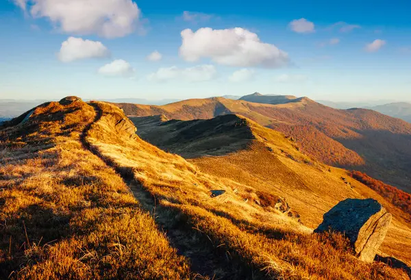Alp Dağları 'nın büyüleyici manzarasına bir göz atalım. Resimli bir gün. Mekan Karpatlar, Ukrayna, Avrupa. Duvar kağıdının harika bir görüntüsü. Aktif açık hava tatili. Dünyanın güzelliğini keşfedin.