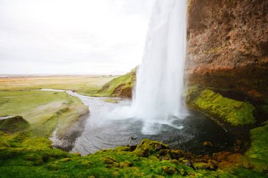 Ünlü, güçlü Seljalandfoss şelalesinin güneş ışığındaki mükemmel manzarası. Muhteşem bir gün ve resim gibi bir manzara. İzlanda 'da bir yer, Avrupa turu. Dünyada eşi benzeri olmayan bir yer. Dünyanın güzelliğini keşfedin.