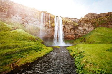 Ünlü, güçlü Seljalandfoss şelalesinin güneş ışığındaki mükemmel manzarası. Muhteşem bir gün ve resim gibi bir manzara. İzlanda 'da bir yer, Avrupa turu. Dünyada eşi benzeri olmayan bir yer. Dünyanın güzelliğini keşfedin.