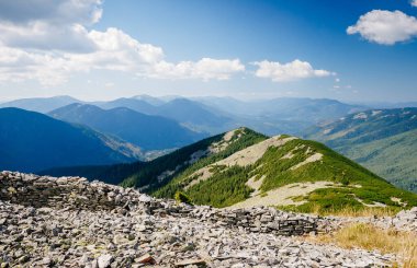 Parlak tepeler ve Alp Vadisi manzarası. Mekan Karpatlar, Ukrayna, Avrupa. Harika bir yaz duvar kâğıdı. Açık havada güneşli bir gün. Dünyanın güzelliğini ve vahşi yaşamını keşfedin..