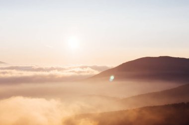 Sabahın köründe ağaçlarla kaplı tepelerin etkileyici görüntüsü. Dramatik sahne ve resimli resim. Mekan Karpatlar, Ukrayna, Avrupa. İklim değişikliği. Dünyanın güzelliğini keşfedin.