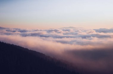 Puslu Vadi 'nin manzarası. Karpat ulusal parkı, Ukrayna, Avrupa. Mükemmel duvar kağıtları. Toprağın güzelliğini keşfedin. Vahşi bölgenin harika bir resmi. Drone fotoğrafçılığı. Instagram filtresi.