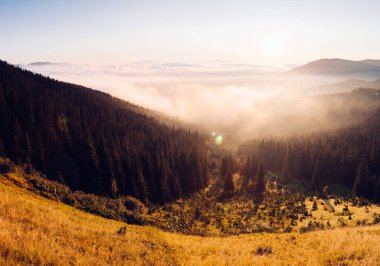 Sisli aralığın manzaralı görüntüsü. Karpat ulusal parkı, Ukrayna, Avrupa. Mükemmel duvar kağıtları. Toprağın güzelliğini keşfedin. Vahşi bölgenin harika bir resmi. Drone fotoğrafçılığı. Instagram filtresi.