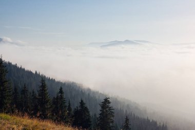 Puslu Vadi 'nin manzarası. Karpat ulusal parkı, Ukrayna, Avrupa. Mükemmel duvar kağıtları. Toprağın güzelliğini keşfedin. Vahşi bölgenin harika bir resmi. Drone fotoğrafçılığı. Instagram filtresi.