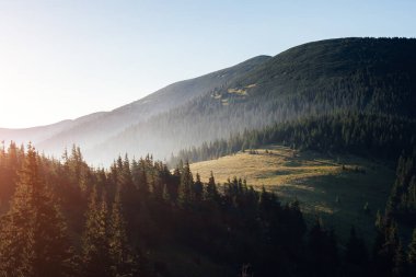Kırsal kesimin güneş ışığındaki görüntüsü. Karpatlar 'ın Ukrayna, Avrupa' daki ulusal parkı. Mükemmel duvar kağıtları. Çevreyi keşfet. Toprağın güzelliğini keşfedin. Vahşi bölgenin harika bir resmi..