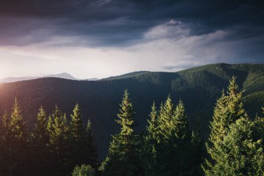 Uzak tepelerin manzarası inanılmaz. Karpatlar 'ın yeri, Ukrayna, Avrupa. Vahşi bölgenin resmi. Yürüyüş konseptinin manzaralı görüntüsü. Huysuz hava. Toprağın güzelliğini keşfedin. Çevreyi keşfedin..