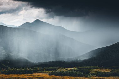 Kuvvetli sağanak yağış. Carpathian Ulusal Parkı, Ukrayna, Avrupa. Vahşi bölgenin resmi. Yürüyüş konseptinin manzaralı görüntüsü. Huysuz hava. Toprağın güzelliğini keşfedin. Çevreyi keşfedin.