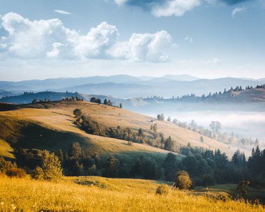 Güneşli bir günde puslu dağlık araziler. Carpathian Ulusal Parkı, Ukrayna, Avrupa. Vahşi bölgenin resmi. Yürüyüş konseptinin manzaralı görüntüsü. Muhteşem turizm duvar kağıtları. Toprağın güzelliğini keşfedin.