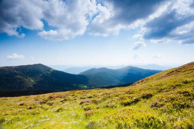 Güneşli bir günde harika dağlık araziler. Carpathian Ulusal Parkı, Ukrayna, Avrupa. Vahşi bölgenin resmi. Yürüyüş konseptinin manzaralı görüntüsü. Muhteşem turizm duvar kağıtları. Toprağın güzelliğini keşfedin