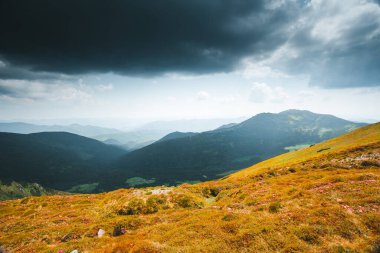 Güneşli bir günde harika dağlık araziler. Carpathian Ulusal Parkı, Ukrayna, Avrupa. Vahşi bölgenin resmi. Yürüyüş konseptinin manzaralı görüntüsü. Muhteşem turizm duvar kağıtları. Toprağın güzelliğini keşfedin