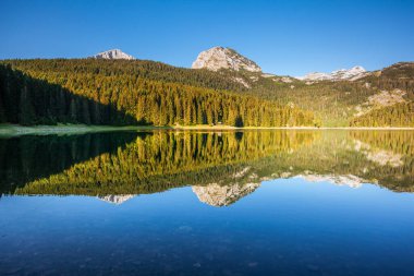 Kara Göl 'ün muhteşem manzarası. Konum Ulusal Parkı Durmitor, Karadağ, Balkanlar, Avrupa. Güzel doğa manzarasının manzarası. Muhteşem bir yaz sahnesi. Toprağın güzelliğini keşfedin.