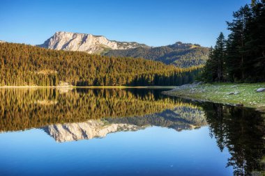 Güneşli bir günde Kara Göl 'ün güzel manzarası. Konum Ulusal Park Durmitor, Zabljak, Karadağ, Avrupa. İnanılmaz doğa manzarasının manzarası. Harika bir yaz sahnesi. Toprağın güzelliğini keşfedin.
