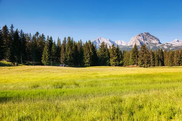 Zabljak köyünde nefes kesici güneşli dağ manzarası. Konum Ulusal Parkı Durmitor, Karadağ, Balkanlar, Avrupa. Muhteşem yaz manzarasının manzarası. Toprağın güzelliğini keşfedin.