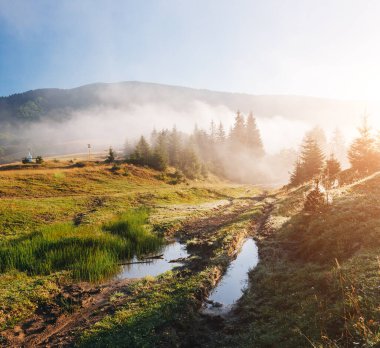 Güneşin altındaki sisli vadinin manzarası. Karpatlar 'ın Ukrayna, Avrupa' daki ulusal parkı. Mükemmel duvar kağıtları. Çevreyi keşfet. Toprağın güzelliğini keşfedin. Vahşi bölgenin harika bir resmi.