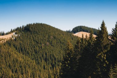 Güneş ışığındaki karlı tepelerin manzarası. Karpatya ulusal parkı Ukrayna, Avrupa. Mükemmel duvar kağıtları. Drone fotoğrafçılığı. Toprağın güzelliğini keşfedin. Vahşi bölgenin harika bir resmi..