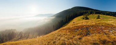 Güneşin altındaki sisli vadinin manzarası. Karpatlar 'ın Ukrayna, Avrupa' daki ulusal parkı. Mükemmel duvar kağıtları. Çevreyi keşfet. Toprağın güzelliğini keşfedin. Vahşi bölgenin harika bir resmi.