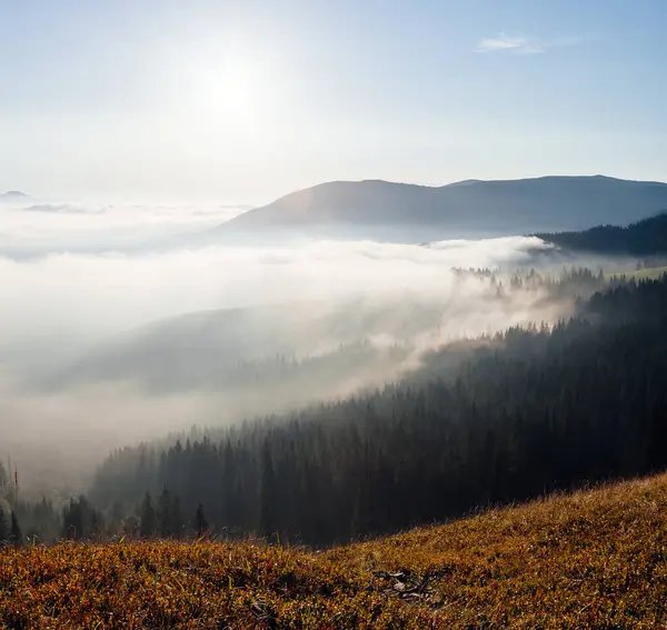 Puslu Vadi 'nin manzarası. Karpat ulusal parkı, Ukrayna, Avrupa. Mükemmel duvar kağıtları. Toprağın güzelliğini keşfedin. Vahşi bölgenin harika bir resmi. Drone fotoğrafçılığı. Instagram filtresi.