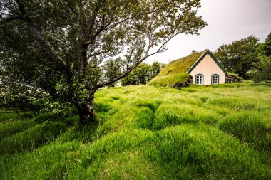 Hofskirkja kilisesinin muhteşem manzarası. İzlanda 'nın yeri, küçük Hof köyü, Avrupa. Güzel doğa manzarasının manzarası. Çekici yaz sahnesi. Toprağın güzelliğini keşfedin.
