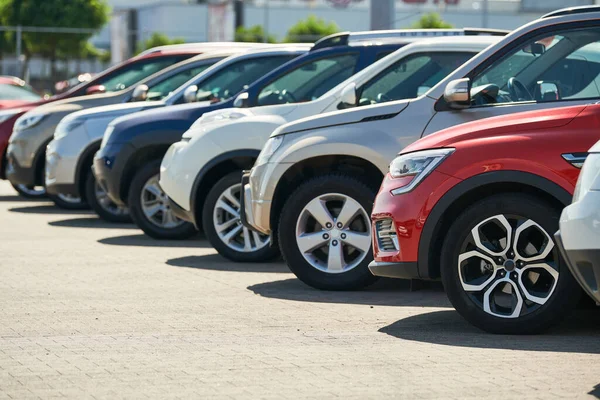 Row Used Cars Rental Automobile Sale Services Dealer Place — Stock Photo, Image