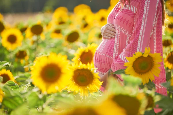 Schwangere Mit Händen Auf Frauenbauch Die Sonnenblumenfeldern Stehen Konzept Familie — Stockfoto