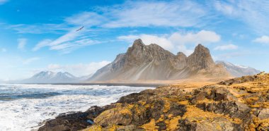 Iceland coastline panoramic view on a sunny day with big ocean waves and tall mountains - Nature and travel concepts, beautiful idyllic place with seagulls flying in the sky